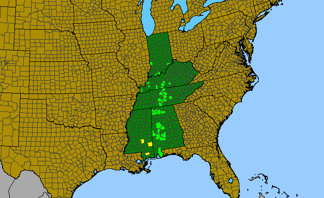 The range of Oxalis macrantha
